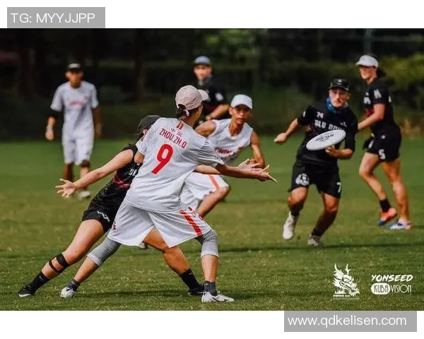 深圳飞盘队运营分析：探索成功与挑战的体育之路